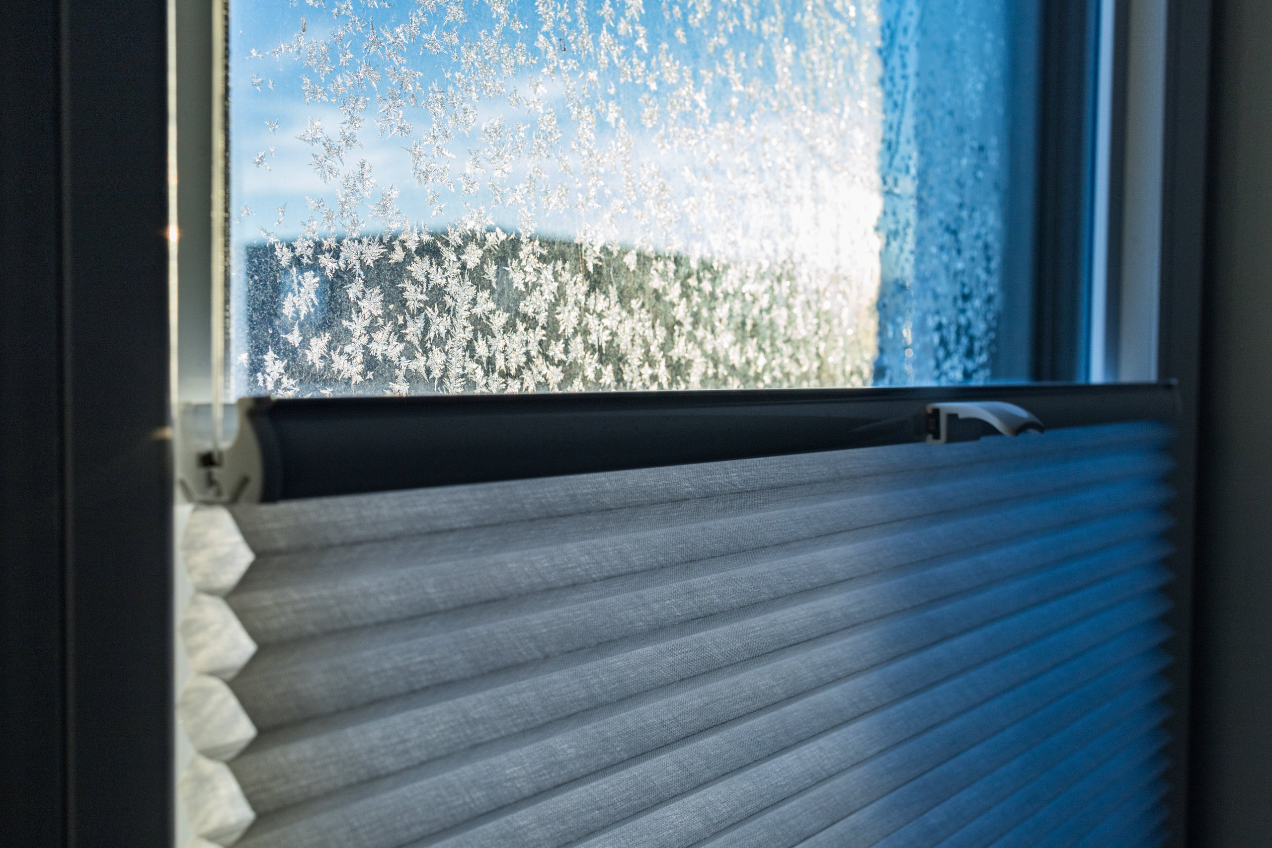 Pliseji in lamelne zavese